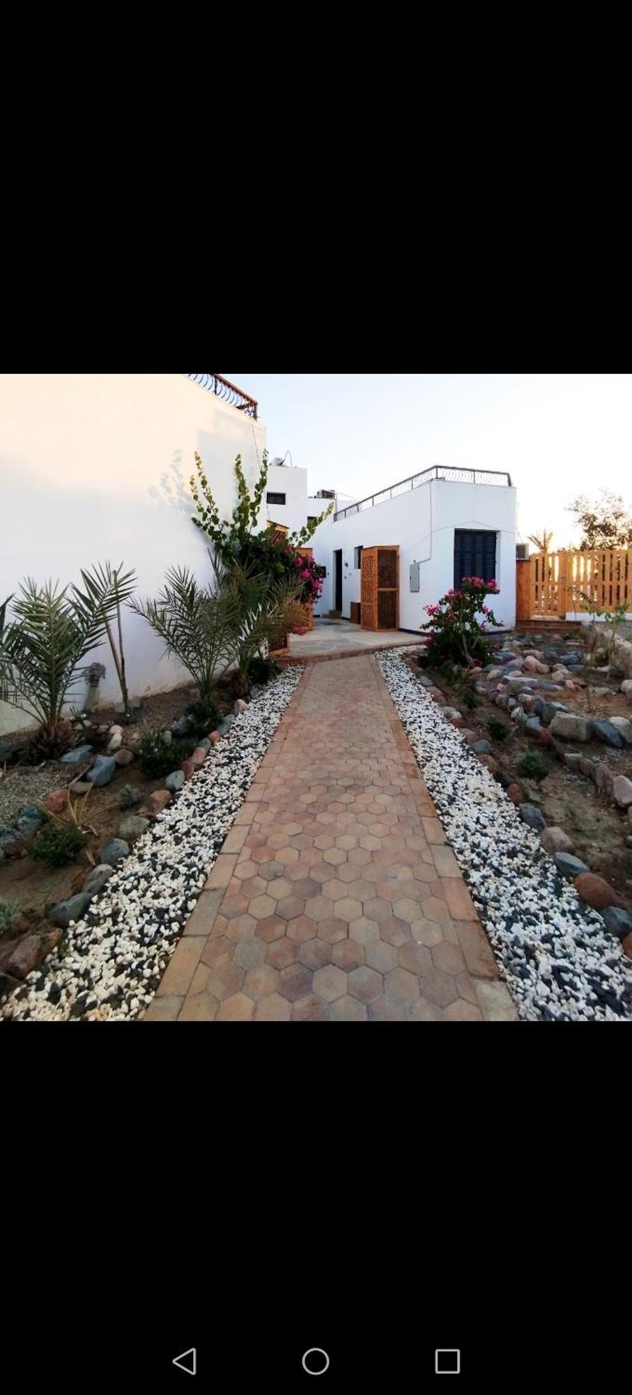 Abouseif Guest House Шарм-эль-Шейх Номер фото